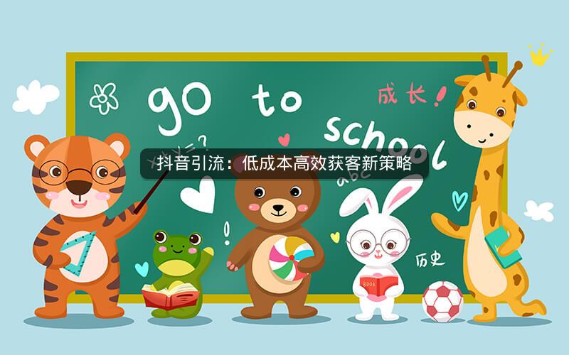 抖音引流：低成本高效获客新策略