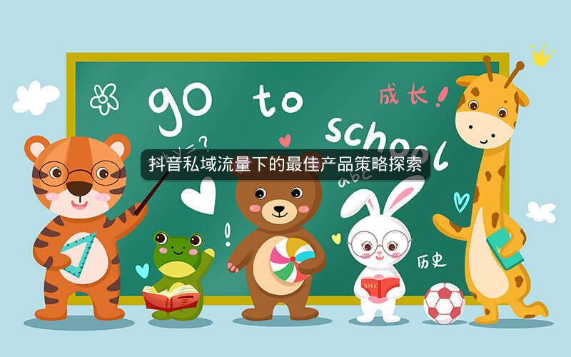 抖音私域流量下的最佳产品策略探索