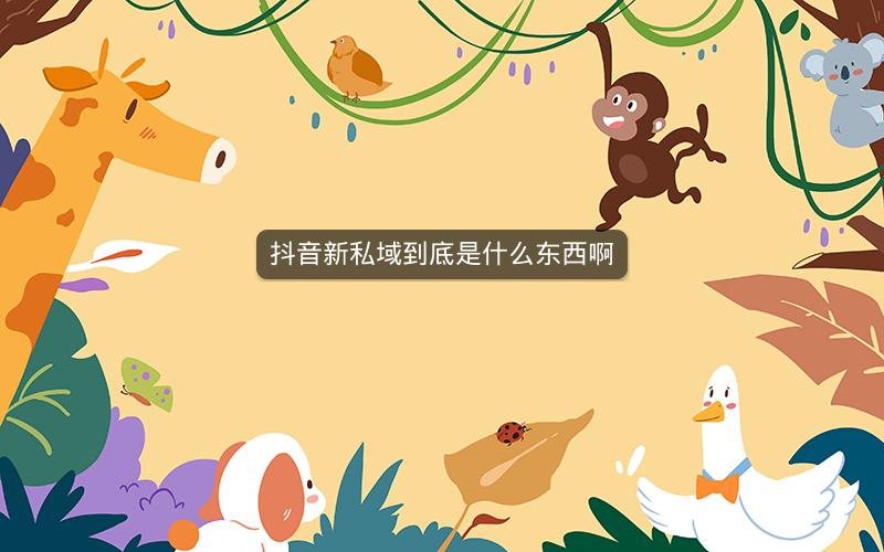 抖音新私域到底是什么东西啊