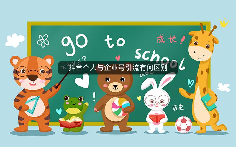 抖音个人与企业号引流有何区别