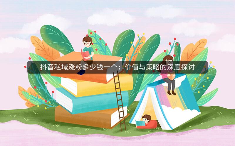 抖音私域涨粉多少钱一个：价值与策略的深度探讨