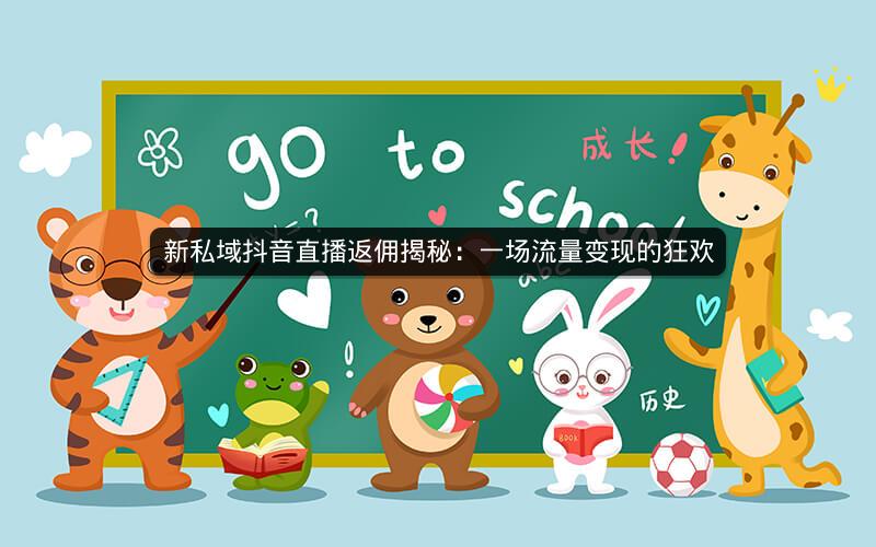 新私域抖音直播返佣揭秘：一场流量变现的狂欢