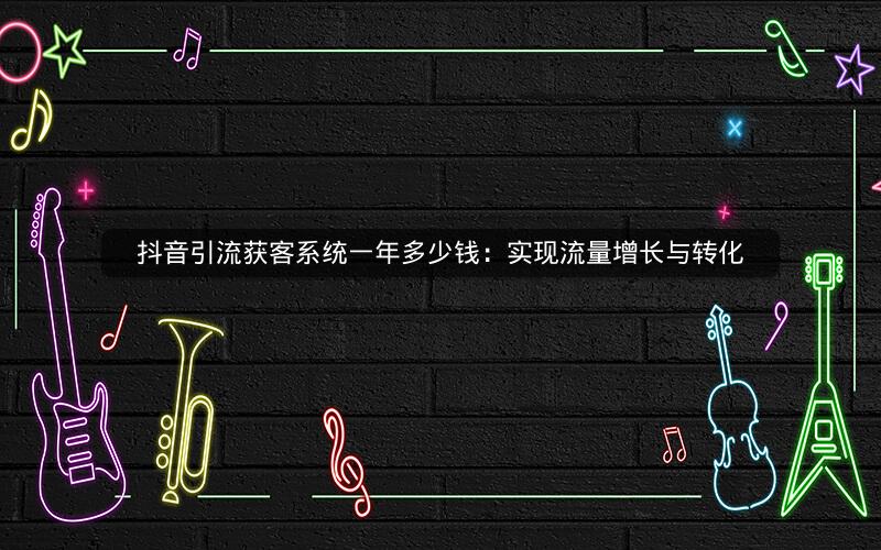 抖音引流获客系统一年多少钱：实现流量增长与转化